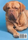 Password notebook Large internet address and password logbook / journal / diary  French Mastiff cover