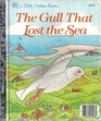 The Gull That Lost the Sea (Little Golden Book)