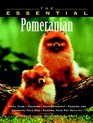 The Essential Pomeranian