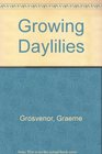 Growing Daylilies