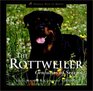 The Rottweiler  Centuries of Service