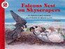 Falcons Nest on Skyscrapers