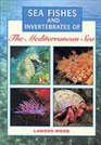 Sea Fishes and Invertebrates of the Mediterranean