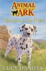 Dalmatian in the Dales