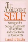 The Adolescent Self Strategies for SelfManagement SelfSoothing and SelfEsteem in Adolescents