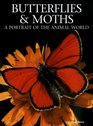 Butterflies and Moths A Portrait of the Animal World