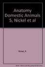 ANATOMY DOMESTIC ANIMALS 5 NICKEL ET AL