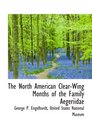 The North American ClearWing Months of the Family Aegeriidae