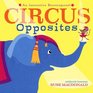 Circus Opposites An Interactive Extravaganza
