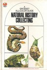 Natural History Collecting
