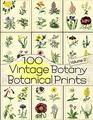 100 Vintage Botany Botanical Prints Volume 2