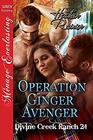 Operation Ginger Avenger