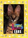 Bizarre  Beautiful Ears