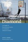 Diamond A Struggle for Environmental Justice in Louisiana's Chemical Corridor