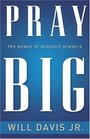 Pray Big The Power of Pinpoint Prayers