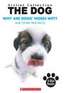 Why Are Dogs' Noses Wet And Other True Facts