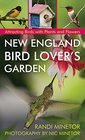 New England Bird Lover's Garden Attracting Birds with Plants and Flowers