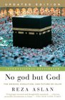 No god but God  The Origins Evolution and Future of Islam