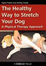 The Healthy Way to Stretch Your Dog A Physical Therapy Approach