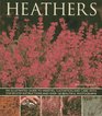 Heathers An Illustrated Guide to Varieties Cultivation and Care With WtepByStep Instructions and Over 160 Beautiful Photographs