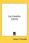 Les Fossiles
