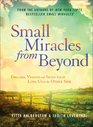 Small Miracles from Beyond Dreams Visions and Signs that Link Us to the Other Side