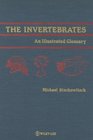 The Invertebrates An Illustrated Glossary