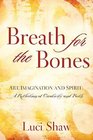 Breath for the Bones Art Imagination and Spirit  A Reflection on Creativity and Faith