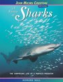 A Frenzy of Sharks The Surprising Life of a Perfect Predator