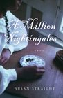A Million Nightingales  A Novel