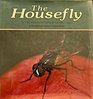 The Housefly