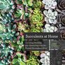 Succulents at Home Choosing Growing and Decorating with the Easiest Houseplants Ever