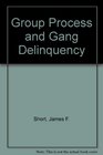 Group Process and Gang Delinquency