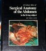 A colour atlas of surgical anatomy of the abdomen in the living subject  with rariological contributions from Adrian K Dixon and Derek S Appleton