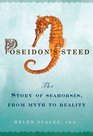 Poseidon's Steed The Story of Seahorses from Myth to Reality