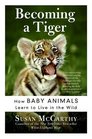 Becoming A Tiger How Baby Animals Learn To Live In The Wild