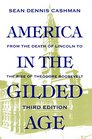America in the Gilded Age From the Death of Lincoln to the Rise of Theodore Roosevelt
