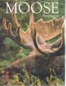 Moose