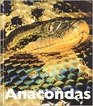 Anacondas