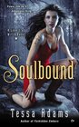 Soulbound (Lone Star Witch, Bk 1)