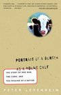 Portrait of a Burger as a Young Calf The Story of One Man Two Cows and the Feeding of a Nation