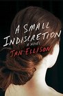 A Small Indiscretion A Novel