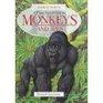 Monkeys  Apes An Animal Fact Book