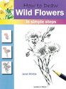How to Draw Wild Flowers in Simple Steps