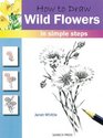 How to Draw Wild Flowers: in Simple Steps