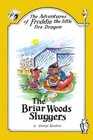The Adventures of Freddie the little Fire Dragon: The Briar Woods Sluggers
