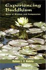 Experiencing Buddhism Ways Of Wisdom And Compassion