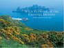 Wild Flowers of the Channel Islands Little Souvenir