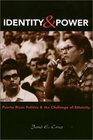 Identity and Power Puerto Rican Politics and the Challenge of Ethnicity