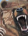 Tooth  Claw The Wild World of Big Predators